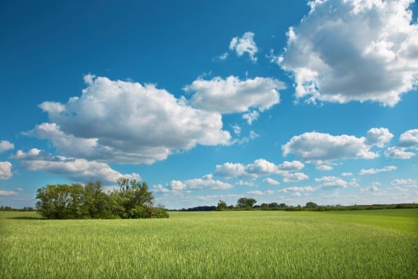 Futuro de la agricultura: Un campo inteligente equipado con sensores para monitorear el crecimiento de los cultivos.